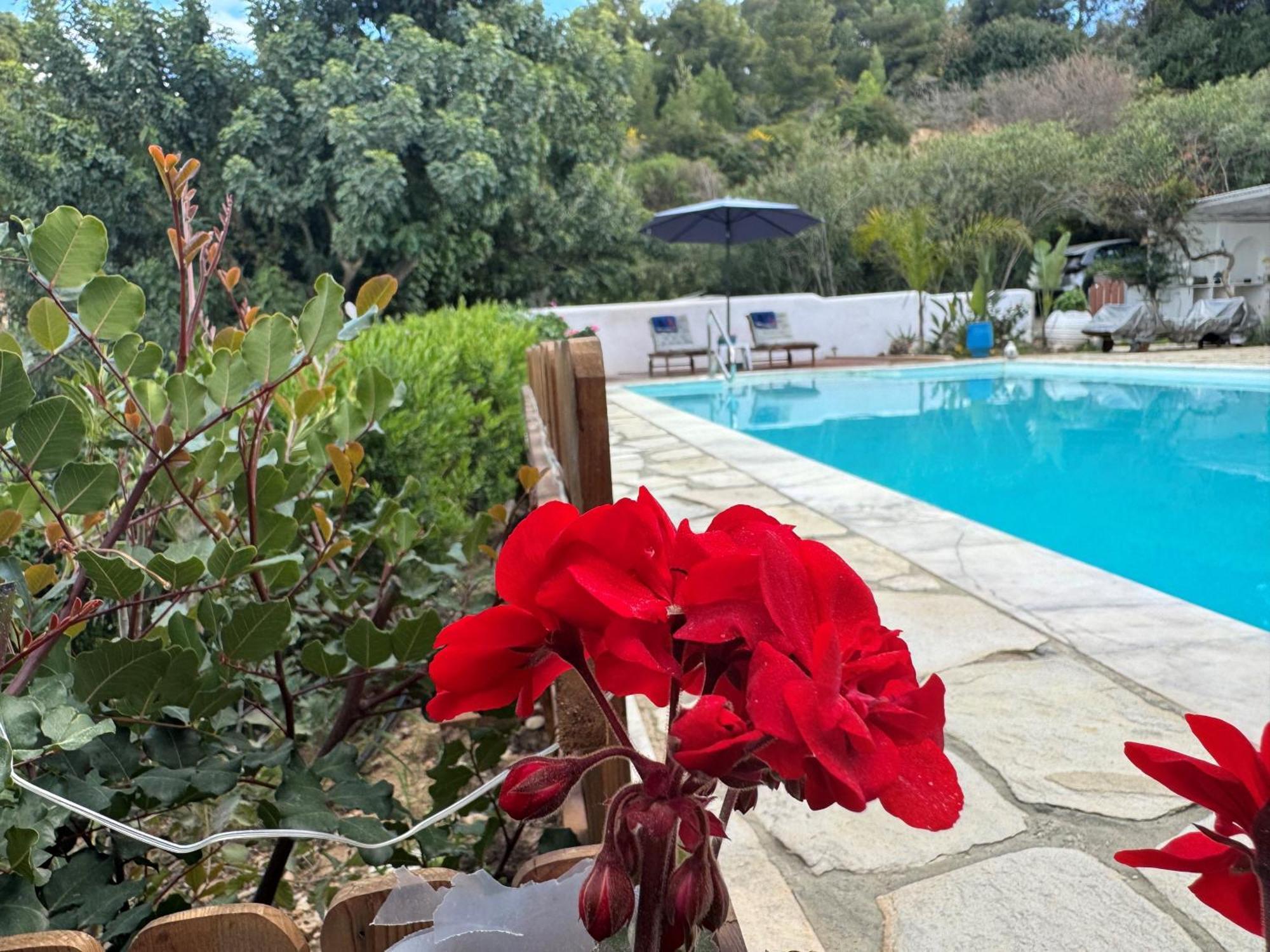 Villa Nova S.r Sea View *