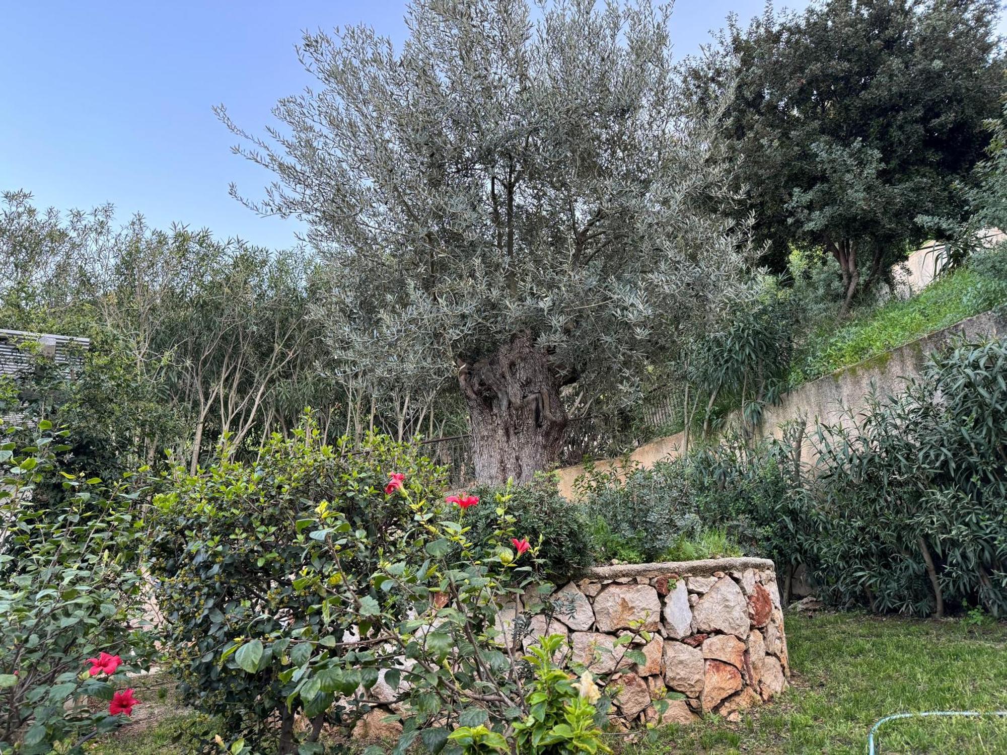 Nova S.r Sea View Porto Heli