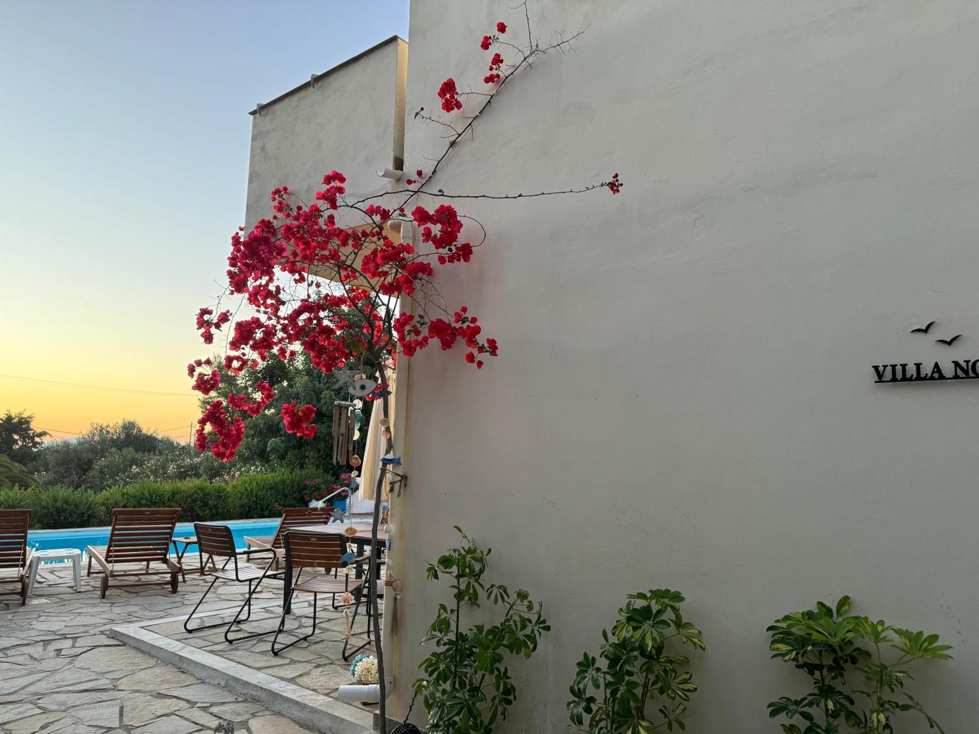 Villa Nova S.r Sea View *