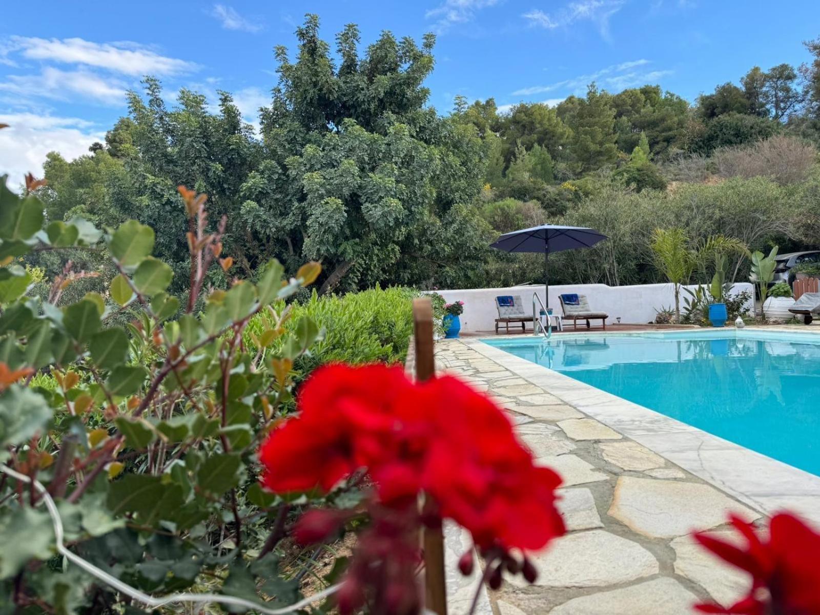 Nova S.r Sea View Villa
