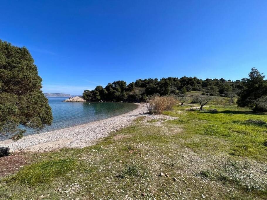 Nova S.r Sea View פורטו הלי